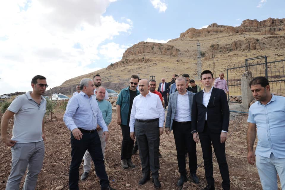 Mardin Valisi/B.Ş.Bel.B.V. Sn. Mahmut DEMİRTAŞ, B.Ş.Bel. Genel Sekreteri Sn. Murat SÜZEN GAP bölgesinde  zeytin fidan bahçesini ziyaret ettiler
